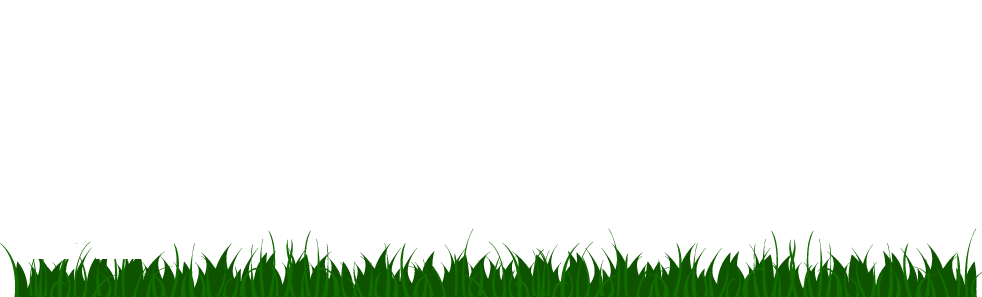 King Lawns | Commercial and Residential Lawncare and Landscaping